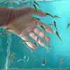 Eco Fish Spa - image 2